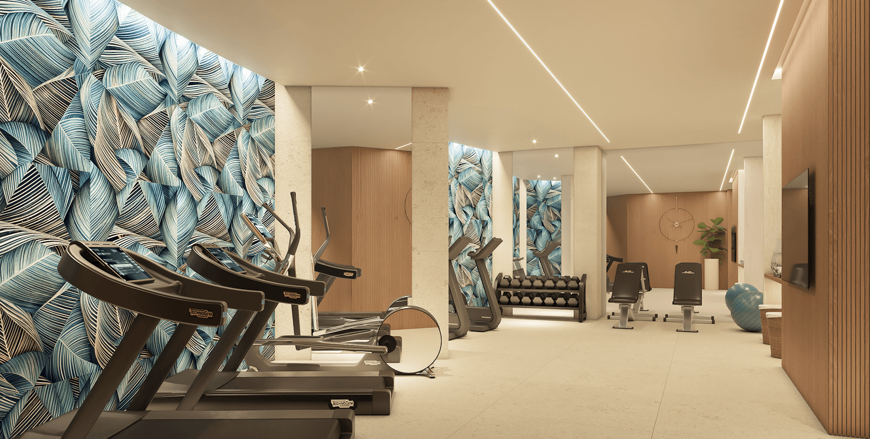 Gym Area